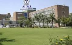medical colleges in delhi